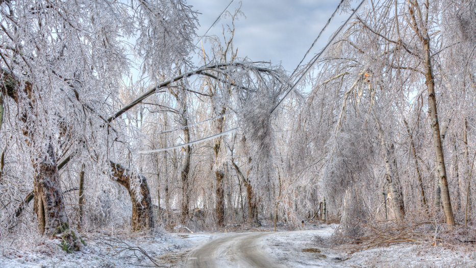 Keep Your Generator Running Smoothly in Ice Storms & Frosty Temperatures
