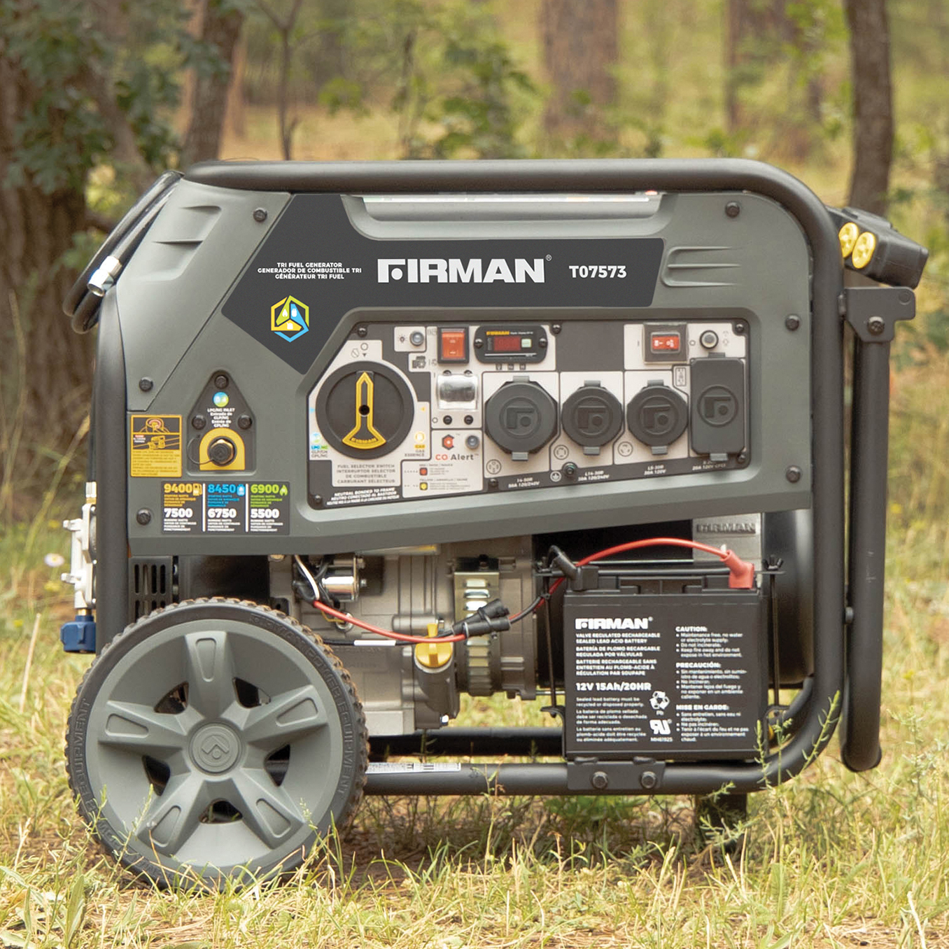 Tri Fuel Portable Generator 10000/8000W Electric Start With CO Alert ...