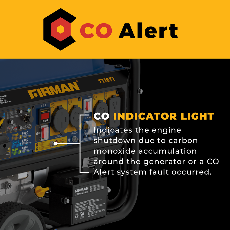 Tri-Fuel Portable Generator 11600/9300W Electric Start CO Alert