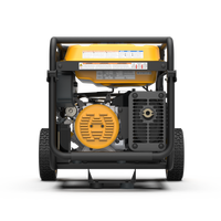 Dual Fuel Portable Generator 7500W Electric Start 120/240V