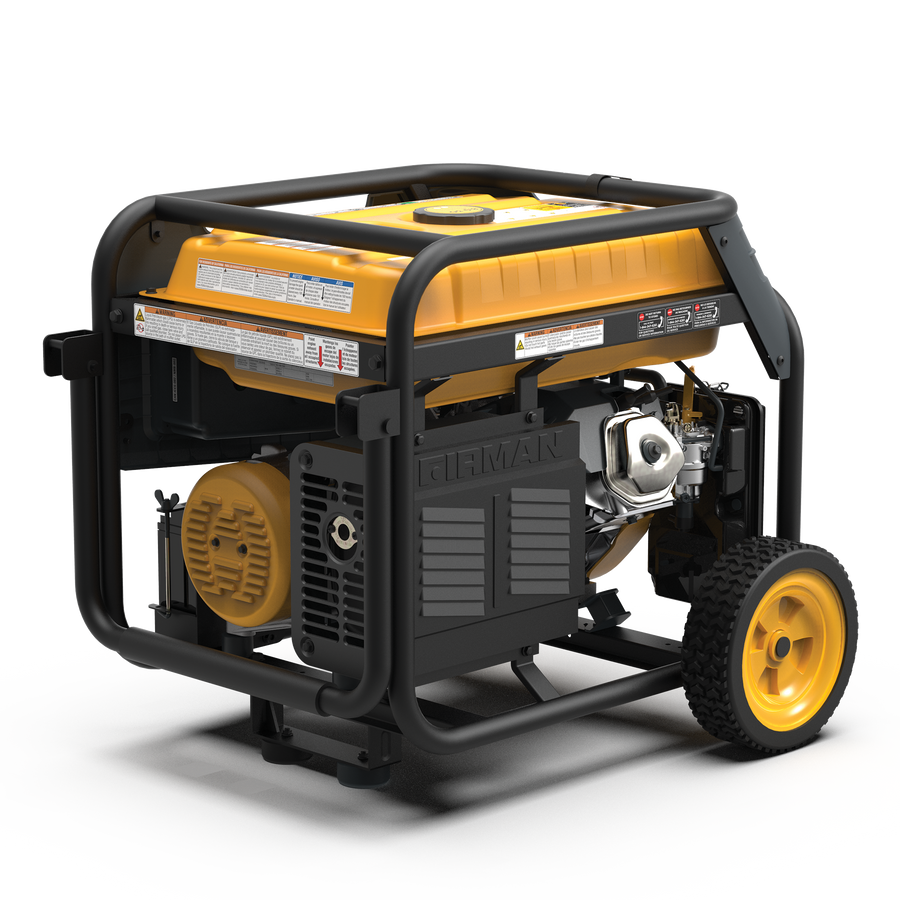 Dual Fuel Portable Generator 8000W Electric Start 120/240V